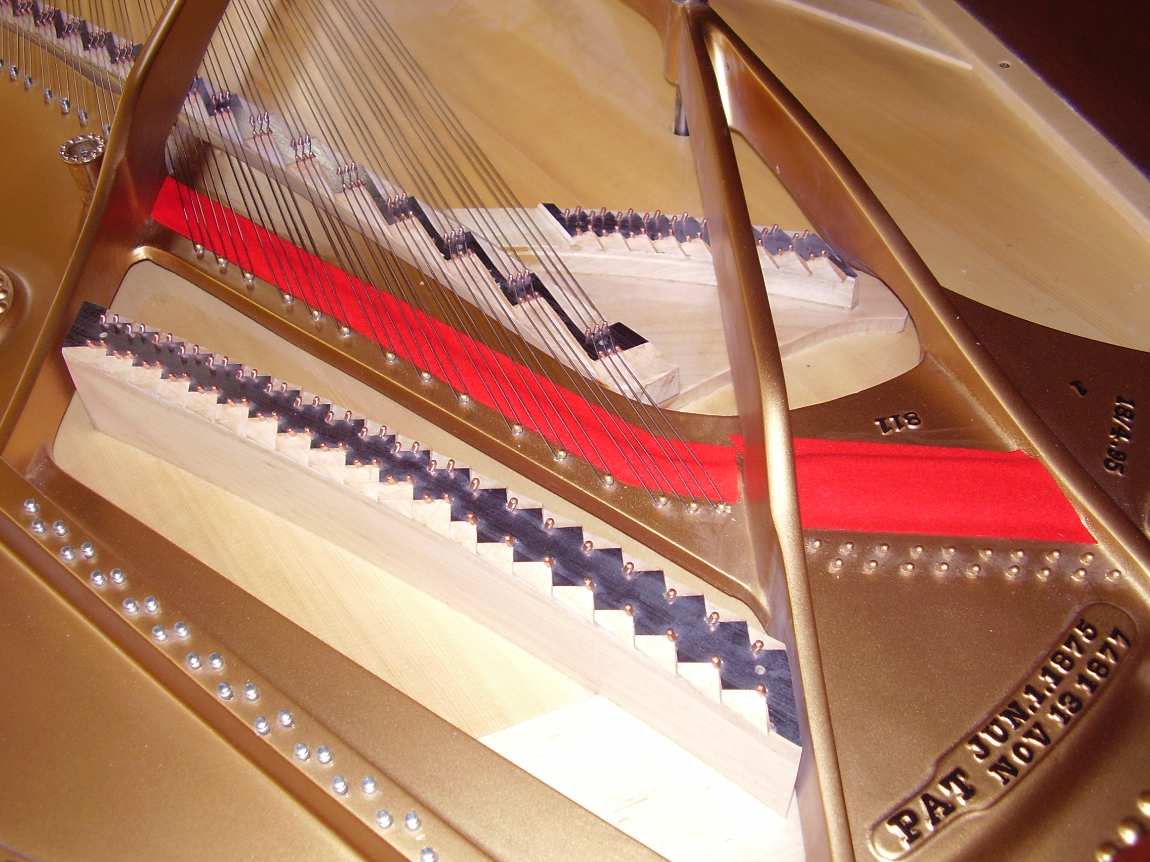 pa060054.jpg